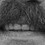 Jonlord